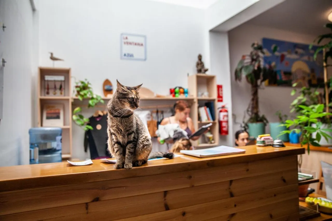 לאס פאלמס דה גראן קנאריה La Ventana Azul Surf Hostel