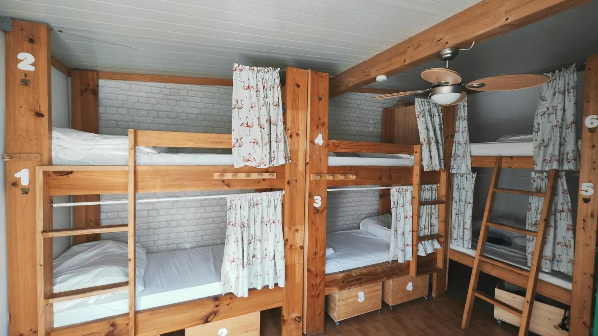 לאס פאלמס דה גראן קנאריה La Ventana Azul Surf Hostel לאס פאלמס דה גראן קנאריה